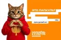 У одного из министерств ЛО появился кот