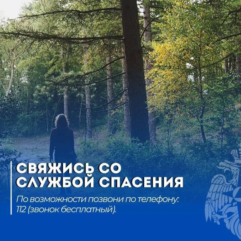 Безопасный поход. Читай в нашей памятке: что делать, если потерялся в лесу Безопасный поход. Читай в нашей памятке: что делать, если потерялся в лесу
