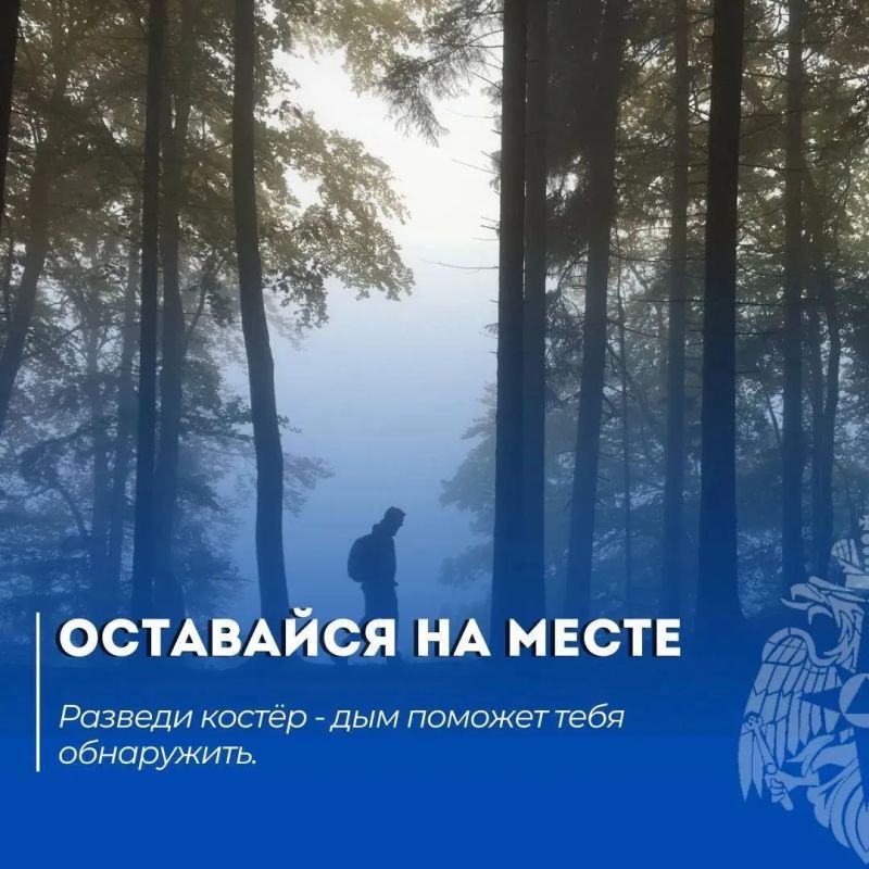 Безопасный поход. Читай в нашей памятке: что делать, если потерялся в лесу Безопасный поход. Читай в нашей памятке: что делать, если потерялся в лесу