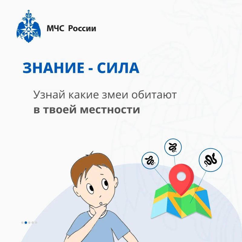 Как вести себя при встрече со змеей? Как вести себя при встрече со змеей?