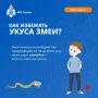 Как вести себя при встрече со змеей?