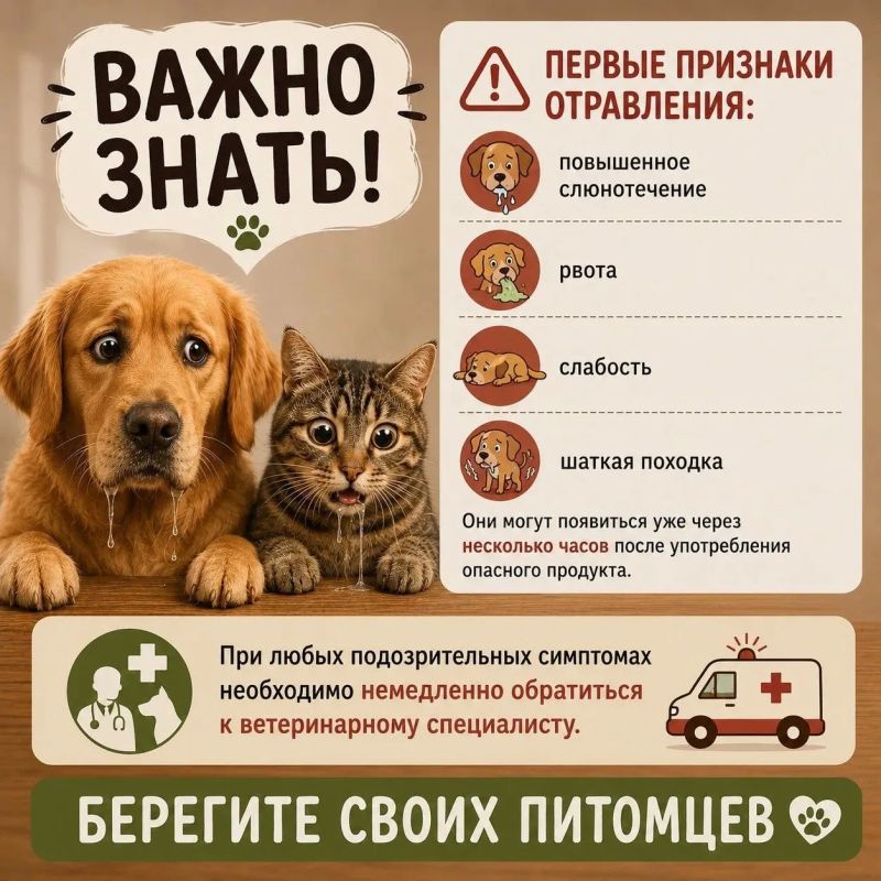 «Ну что будет от маленького кусочка?..» «Ну что будет от маленького кусочка?..»