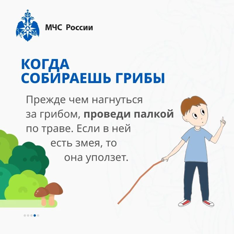 Как вести себя при встрече со змеей? Как вести себя при встрече со змеей?