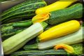 Кабачковые богатства: как получить щедрый урожай с лучших сортов и гибридов