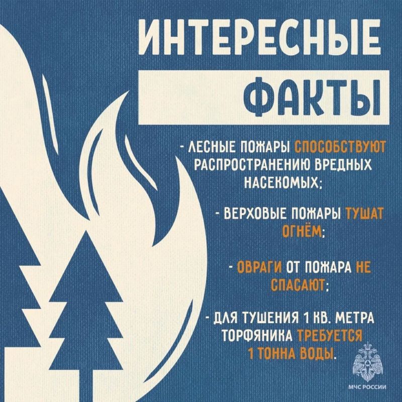 МЧС России напоминает: не сжигайте сухую траву МЧС России напоминает: не сжигайте сухую траву