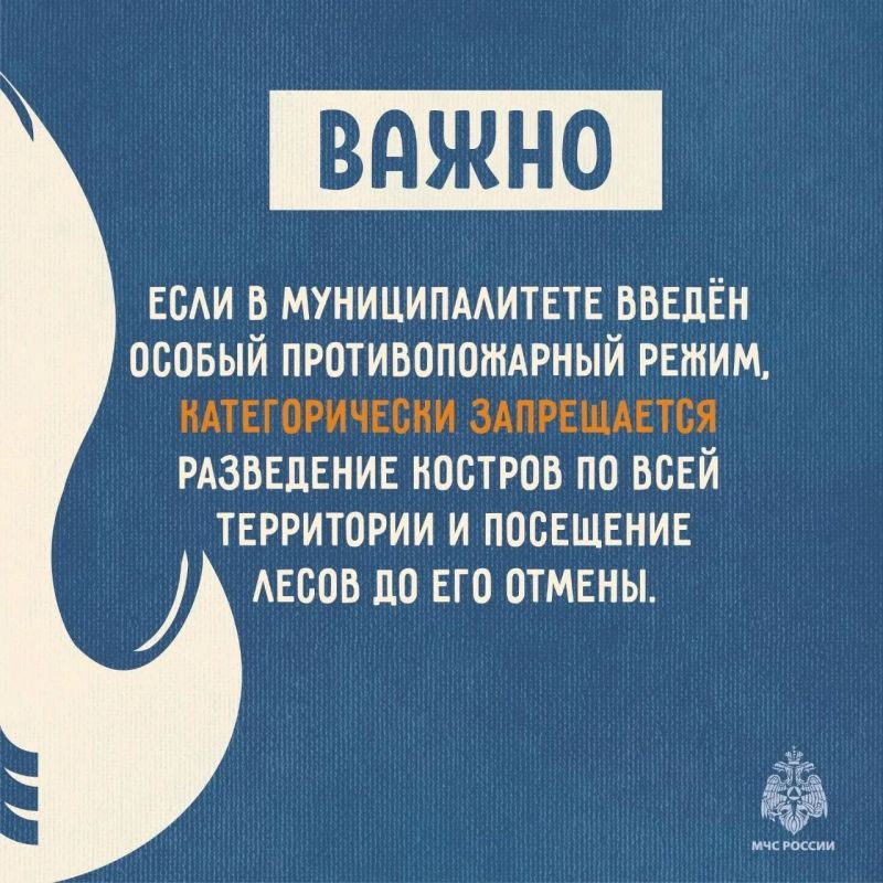 МЧС России напоминает: не сжигайте сухую траву МЧС России напоминает: не сжигайте сухую траву