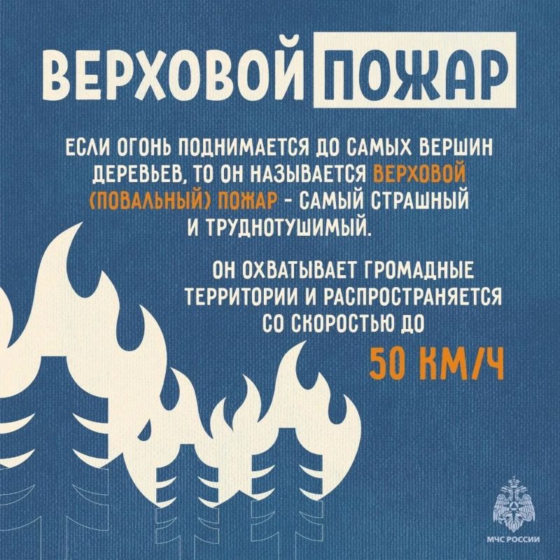 МЧС России напоминает: не сжигайте сухую траву МЧС России напоминает: не сжигайте сухую траву