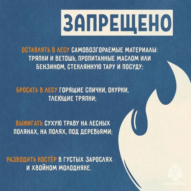 МЧС России напоминает: не сжигайте сухую траву МЧС России напоминает: не сжигайте сухую траву