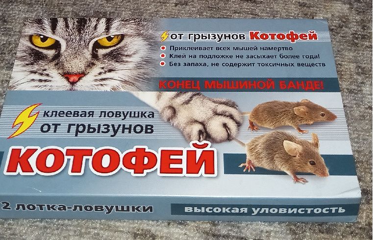 Мыши на подворье: Как клеевая ловушка 'Котофей' помогает в борьбе с грызунами