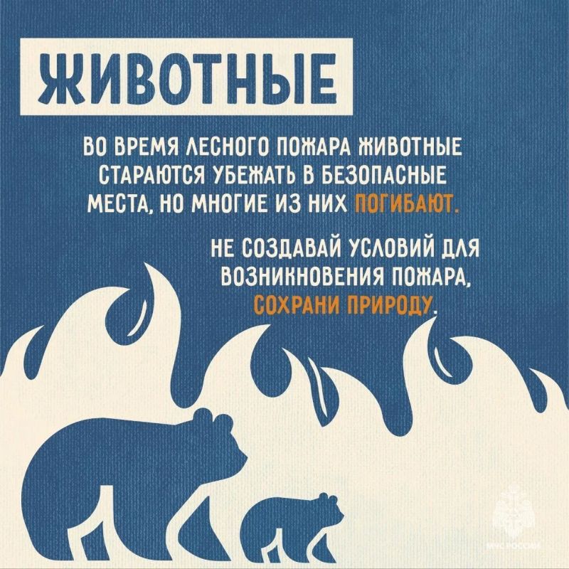 МЧС России напоминает: не сжигайте сухую траву МЧС России напоминает: не сжигайте сухую траву