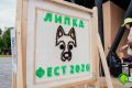 В Нижнем парке прошел фестиваль доброты «Липка Фест»