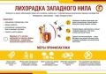 Чтобы не заразиться лихорадкой Западного Нила, липчанам рекомендуют не ходить на болота
