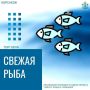 Свежевыловленная рыба уже в продаже
