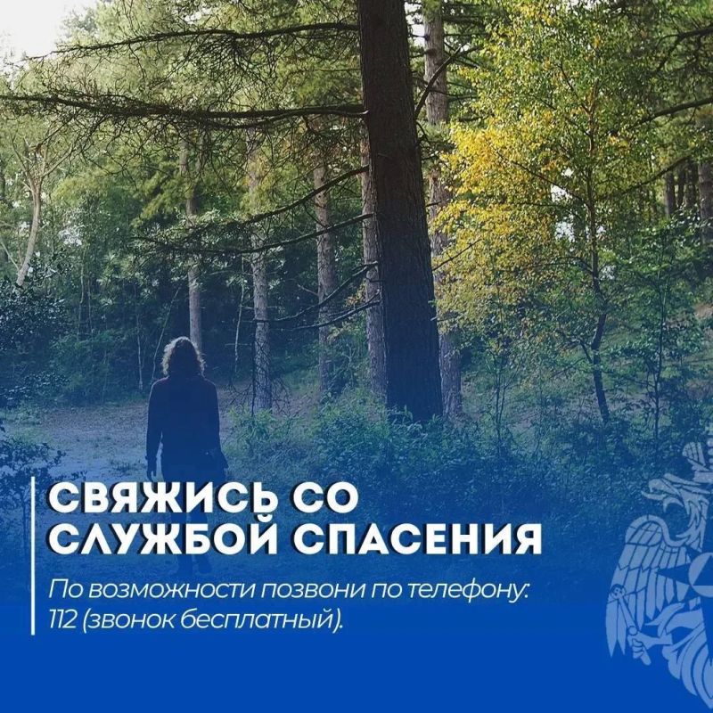 Читай в нашей памятке: что делать, если потерялся в лесу Читай в нашей памятке: что делать, если потерялся в лесу
