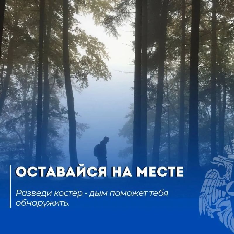 Читай в нашей памятке: что делать, если потерялся в лесу Читай в нашей памятке: что делать, если потерялся в лесу