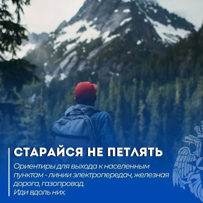 Читай в нашей памятке: что делать, если потерялся в лесу Читай в нашей памятке: что делать, если потерялся в лесу