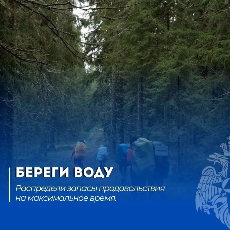 Читай в нашей памятке: что делать, если потерялся в лесу Читай в нашей памятке: что делать, если потерялся в лесу
