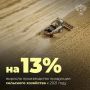 Глава Минсельхоза России Оксана Лут представила Национальный доклад о реализации госпрограммы развития сельского хозяйства за 2025 год на заседании Правительства