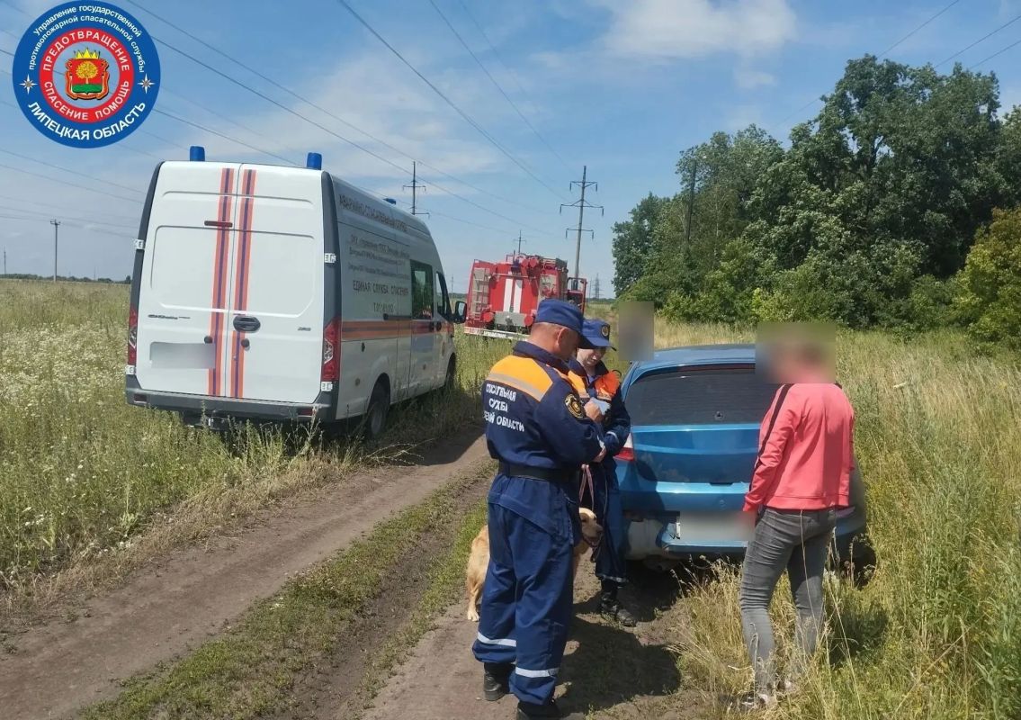 Женщина пыталась догнать свою собаку и заблудилась в лесу Липецкого округа Женщина пыталась догнать свою собаку и заблудилась в лесу Липецкого округа