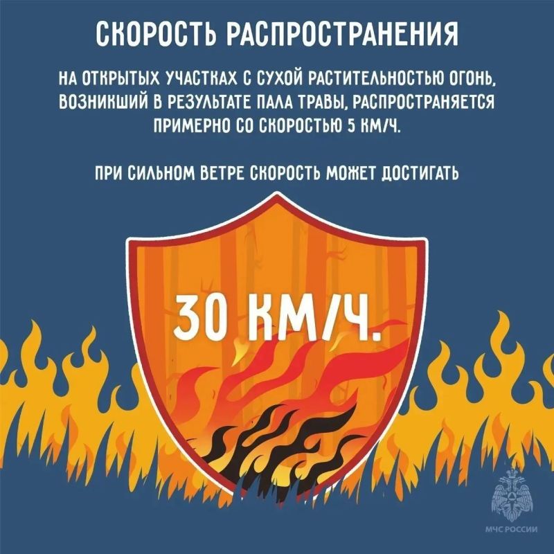 Дымом от травы можно отравиться, предупреждают липчан спасатели Дымом от травы можно отравиться, предупреждают липчан спасатели