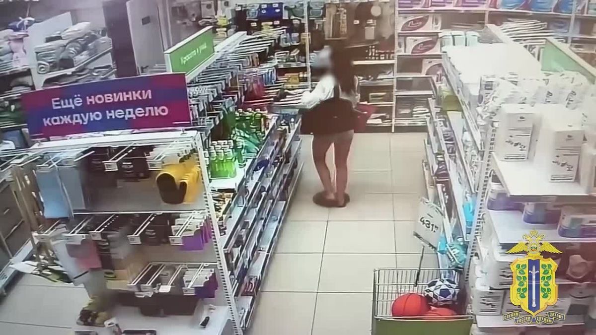23-летняя липчанка подозревается в серии краж из магазина