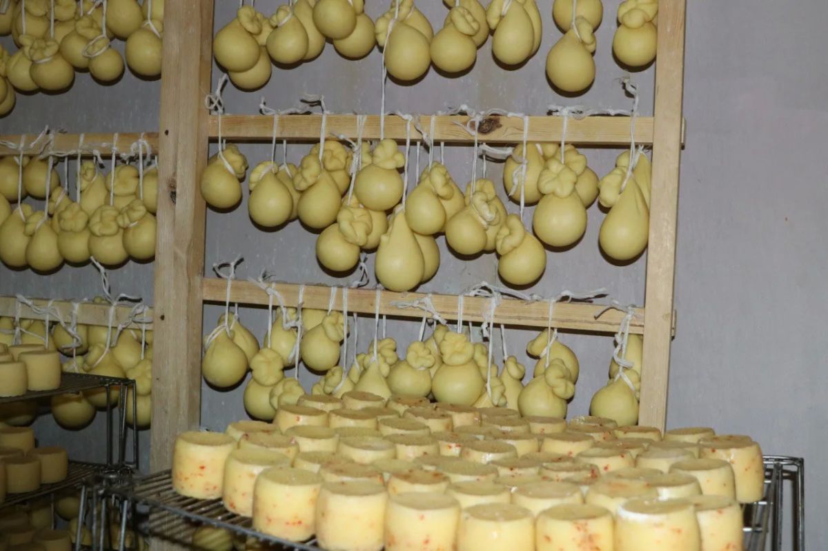 На 6,6 % выросло производство продуктов питания в регионе На 6,6 % выросло производство продуктов питания в регионе