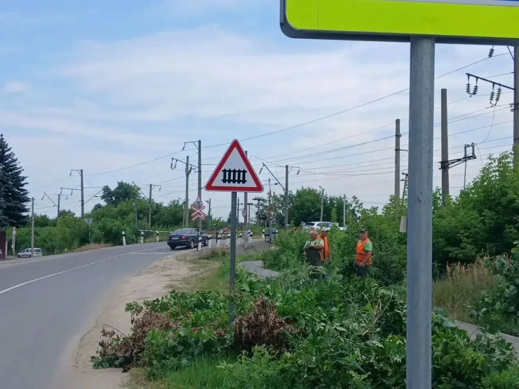 По поручению главы Липецка Михаила Щербакова приведён в порядок временный пешеходный маршрут в районе моста «Стагдок» По поручению главы Липецка Михаила Щербакова приведён в порядок временный пешеходный маршрут в районе моста «Стагдок»