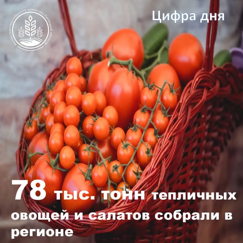 4 тепличных комплекса - более 220 гектаров - 78 тысяч тонн овощей и салатов