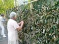 2200 масксетей могли бы покрыть 5 стадионов «Металлург»