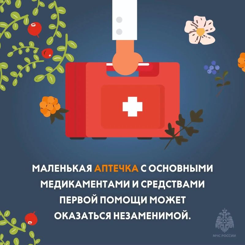 Самое время отправляться в лес за грибами и ягодами Самое время отправляться в лес за грибами и ягодами