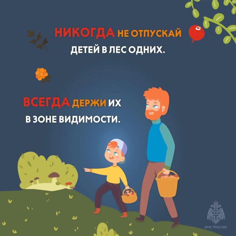Самое время отправляться в лес за грибами и ягодами Самое время отправляться в лес за грибами и ягодами