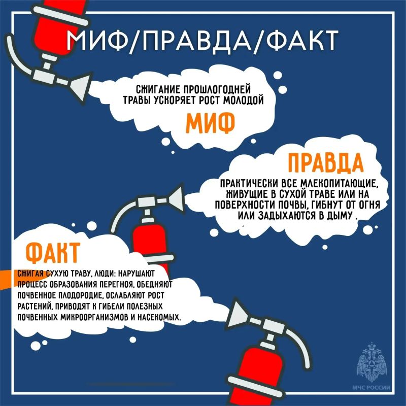 Пал сухой травы: опасность, которую можно избежать! Пал сухой травы: опасность, которую можно избежать!