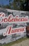 В рамках празднования Дня города в Нижнем парке развернулась тематическая площадка, организованная городскими библиотеками