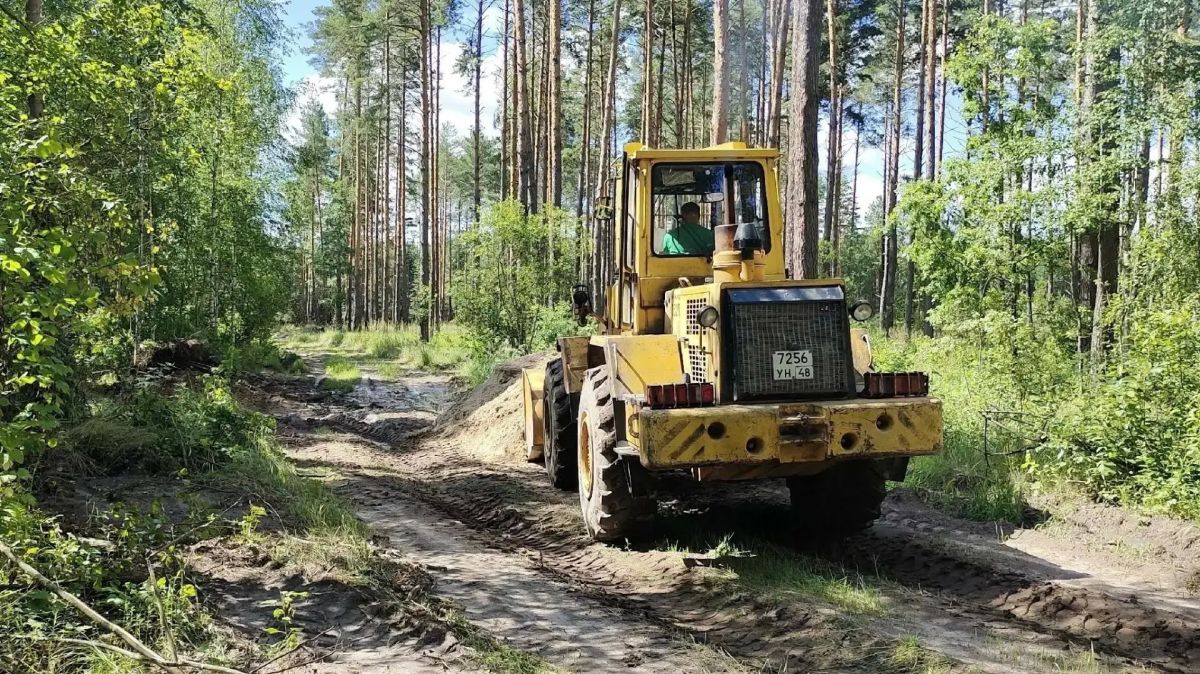 10 000 км минерализованных полос в лесах ЛО в полном порядке 10 000 км минерализованных полос в лесах ЛО в полном порядке