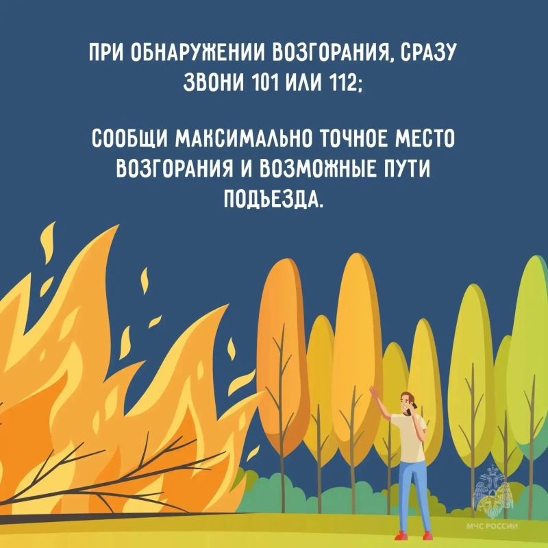 Лето без пожаров: простые правила безопасности Лето без пожаров: простые правила безопасности