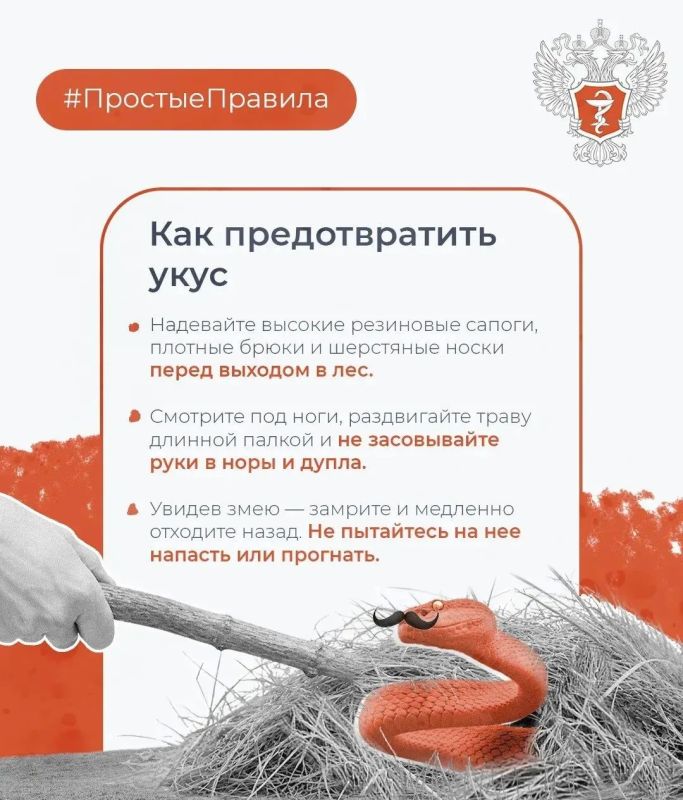 Как обезопасить себя от укуса змеи Как обезопасить себя от укуса змеи