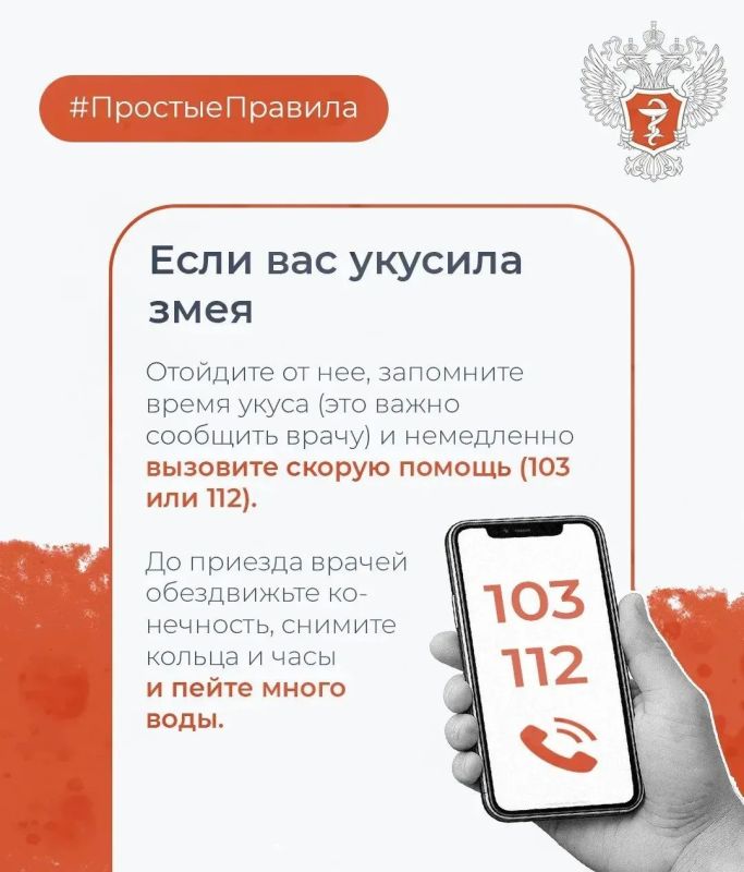 Как обезопасить себя от укуса змеи Как обезопасить себя от укуса змеи