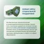 Повторный социальный контракт, санаторно-курортное лечение, психологическая помощь и дополнительные выплаты