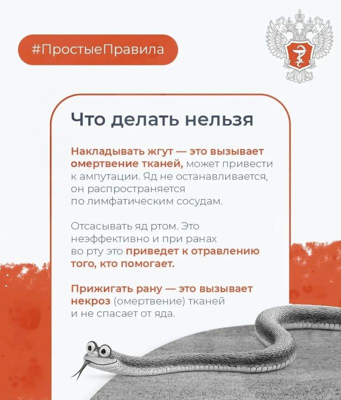 Как обезопасить себя от укуса змеи Как обезопасить себя от укуса змеи