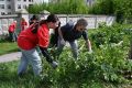 Субботник на Новолипецкой в Ельце провели 60 горожан