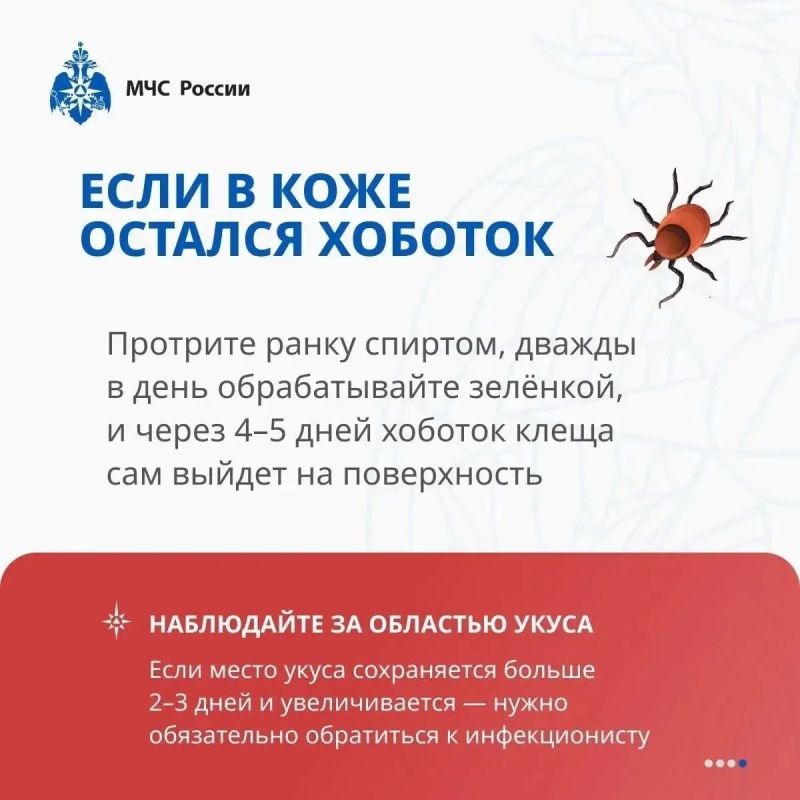 Важная информация о клещах Важная информация о клещах