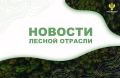 Липецкое время: В Липецкой области начали проверять, как восстанавливаются леса после высадки