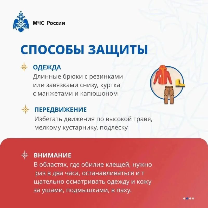 Важная информация о клещах Важная информация о клещах