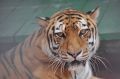 � ��������� ���� ��� � ����-���������� ��������� ��� � ����
