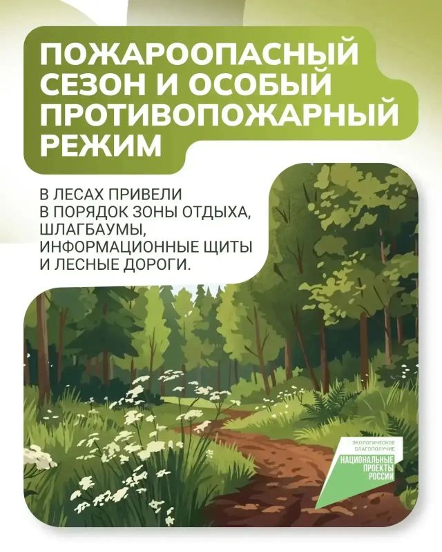 Липецкая область усиливает охрану лесов Липецкая область усиливает охрану лесов