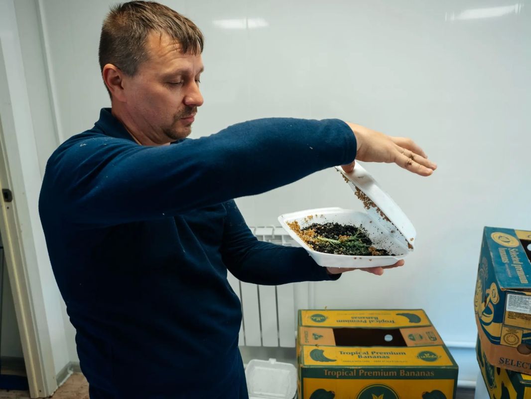 Предприниматель Павел Шабалин с помощью 2 млн рублей «Агростартапа» развивает в Задонском округе улиточную ферму Предприниматель Павел Шабалин с помощью 2 млн рублей «Агростартапа» развивает в Задонском округе улиточную ферму