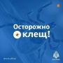 ������������ ��������� ���: ����� �� �������