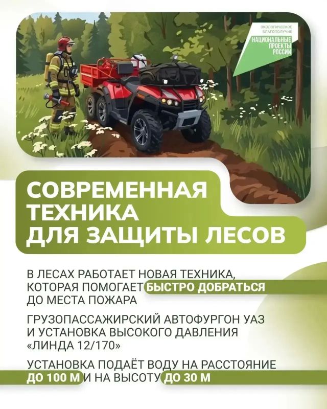 Липецкая область усиливает охрану лесов Липецкая область усиливает охрану лесов