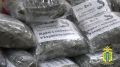 Свежую выпечку, фрукты, сладости и маскировочные сети отправили бойцам за ленточку полицейские ЛО. Они отмечают, что гумгруз собран по запросам военнослужащих, с которыми правоохранители на связи
