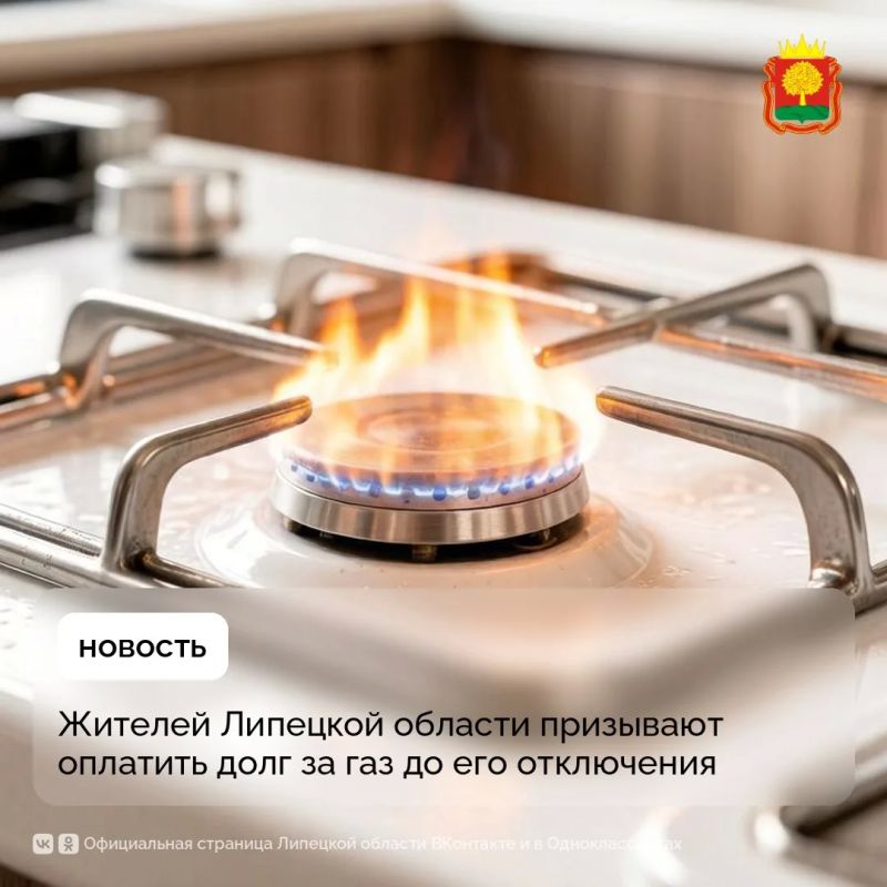 3,6 тыс. жителей Липецкой области получат уведомления о наличии долга за газ